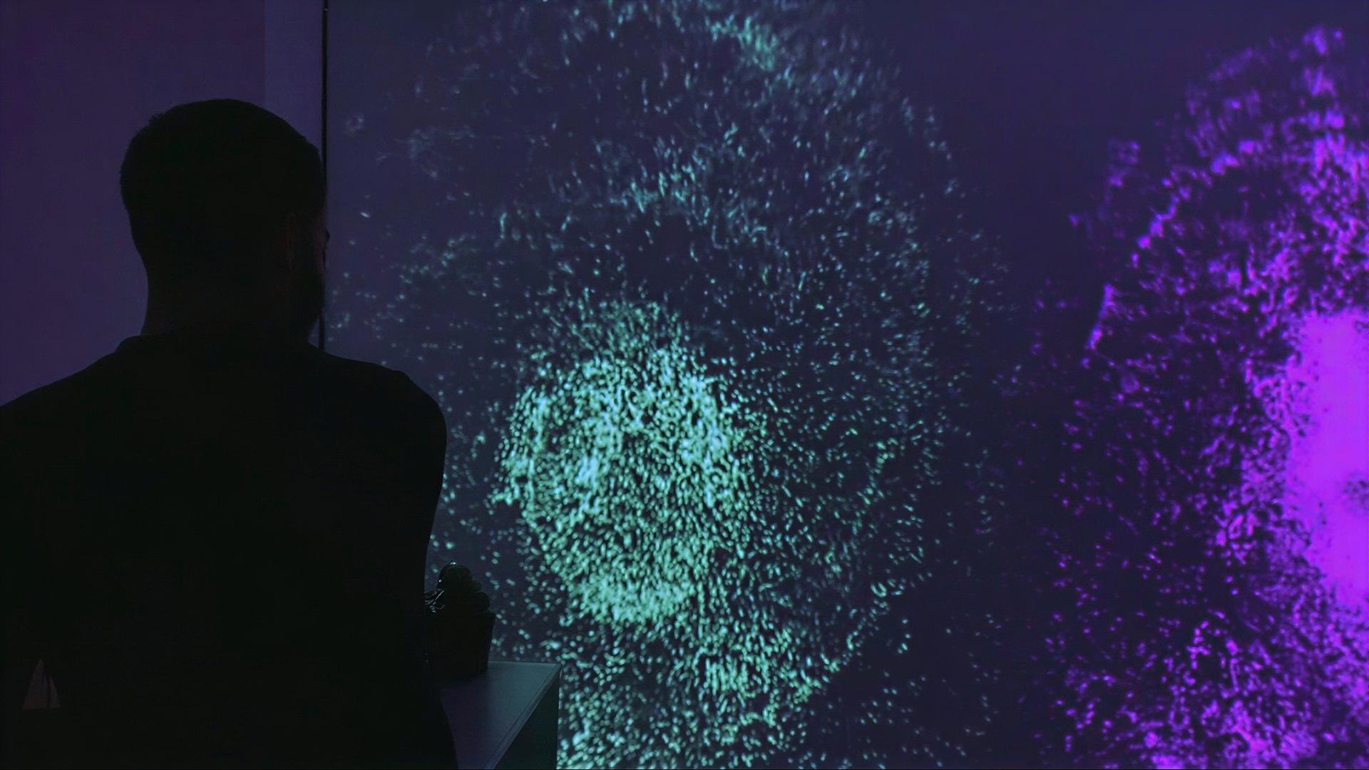 Inside the Realm of Vibrations